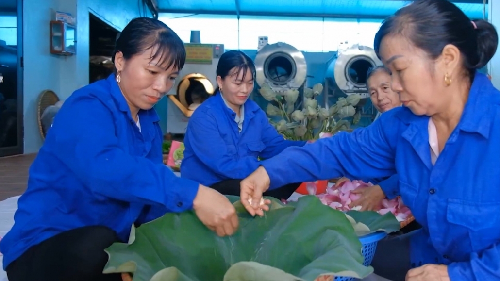 Phát triển cây chè gắn với du lịch cộng đồng