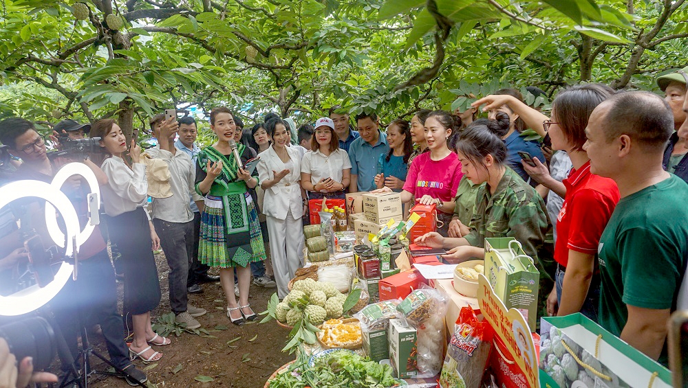 Tăng cường ứng dụng công nghệ thông tin, chuyển đổi số vùng đồng bào dân tộc thiểu số