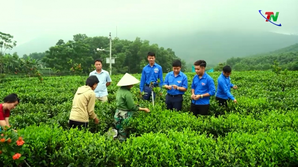 Thúc đẩy du lịch cộng đồng gắn với phát triển kinh tế nông nghiệp