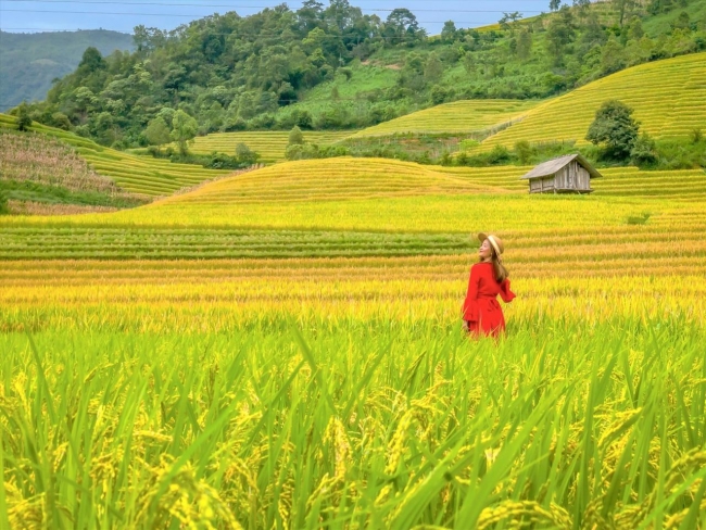 Sa Pa và Cần Thơ lọt top điểm đến lý tưởng ở châu Á vào mùa thu