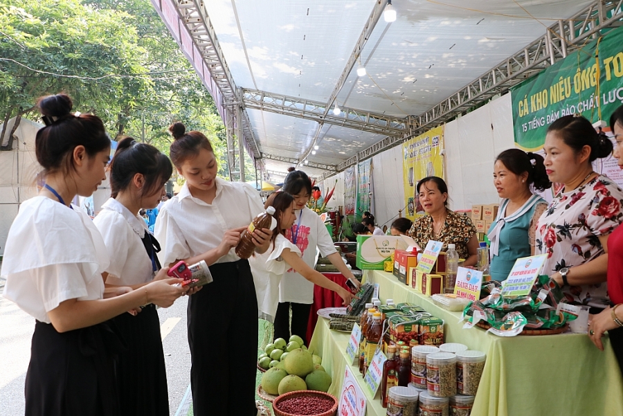 [Photo] Nhiều hoạt động xây dựng môi trường sống an toàn cho phụ nữ và trẻ em