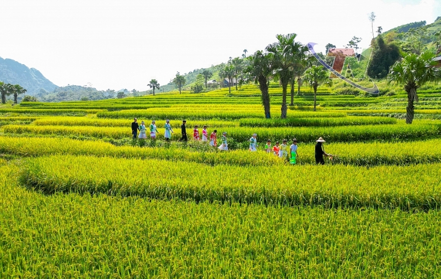 Khai mạc Lễ hội mùa vàng Bản Tèn