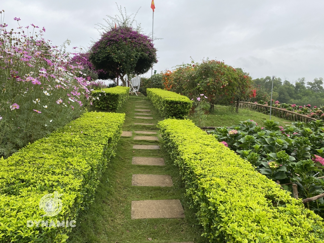 Family flower island