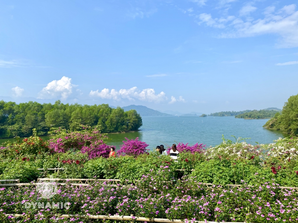 Family flower island