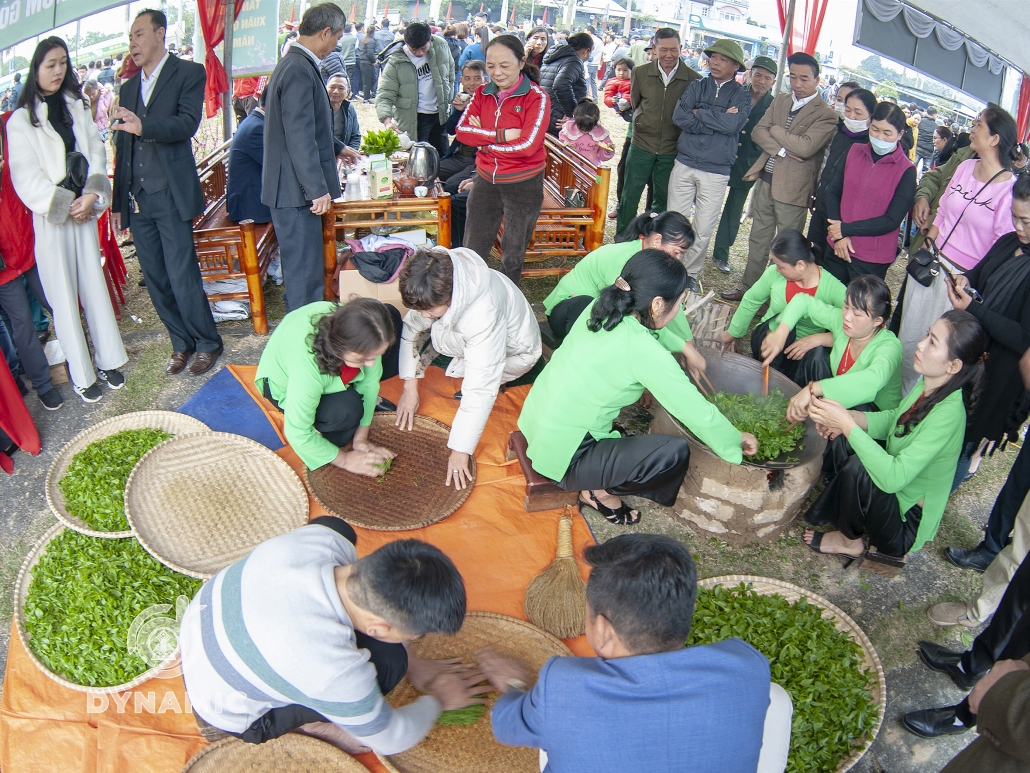 Tan Cuong Spring Tea Festival, Thai Nguyen