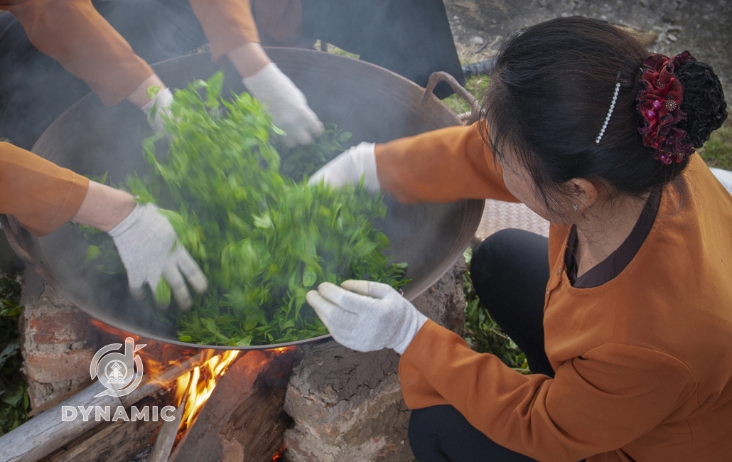 太原新疆春季茶节