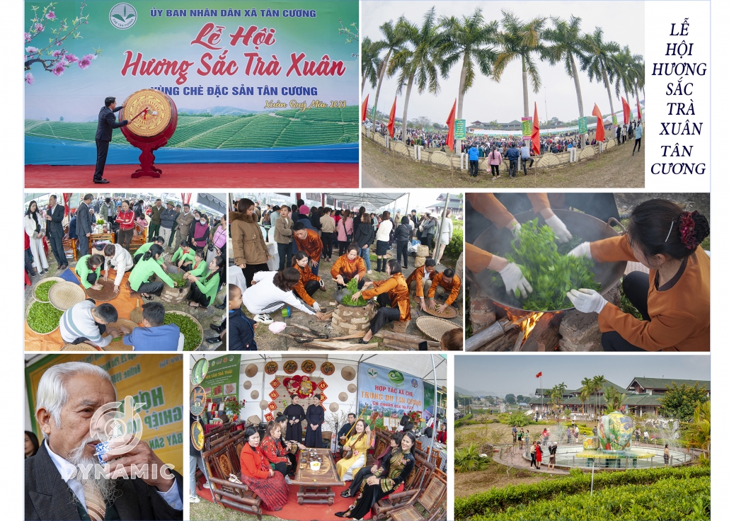 Tan Cuong Spring Tea Festival, Thai Nguyen