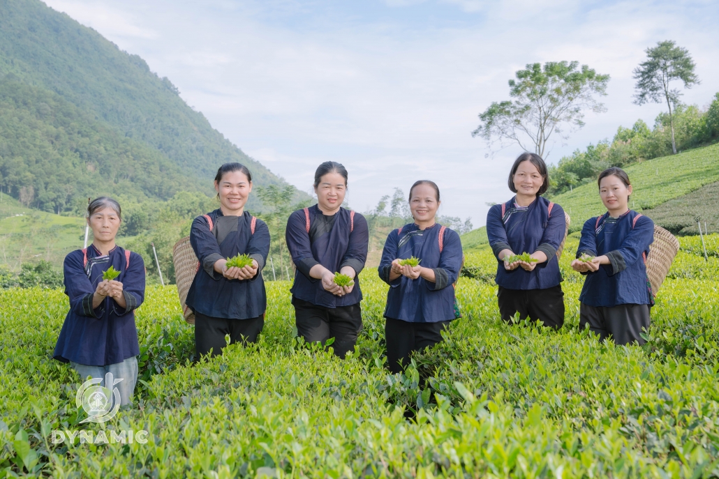 发展茶区天歌俱乐部