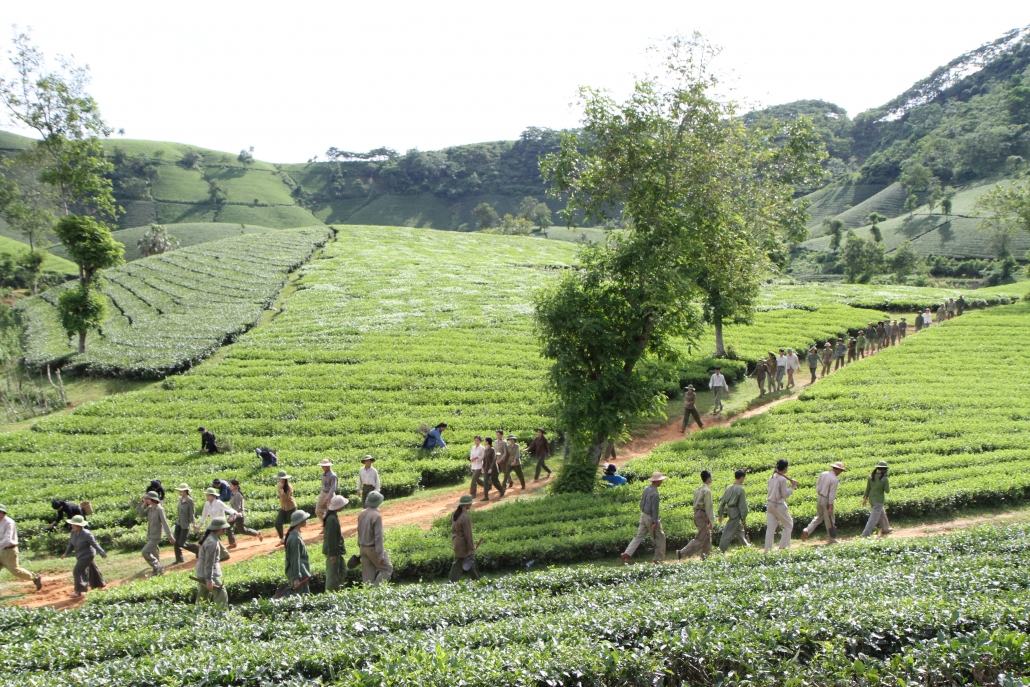 [Photo] Dấu ấn hành trình phim truyện 