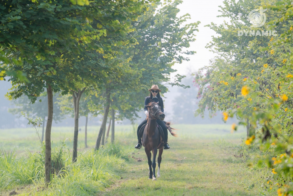 Ba Van Horse Farm