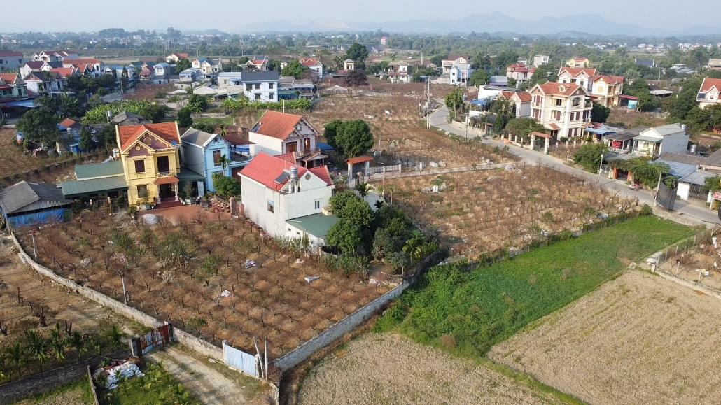 [Photo] Làng đào Cam Giá nhộn nhịp vào mùa phục vụ Tết Nguyên đán