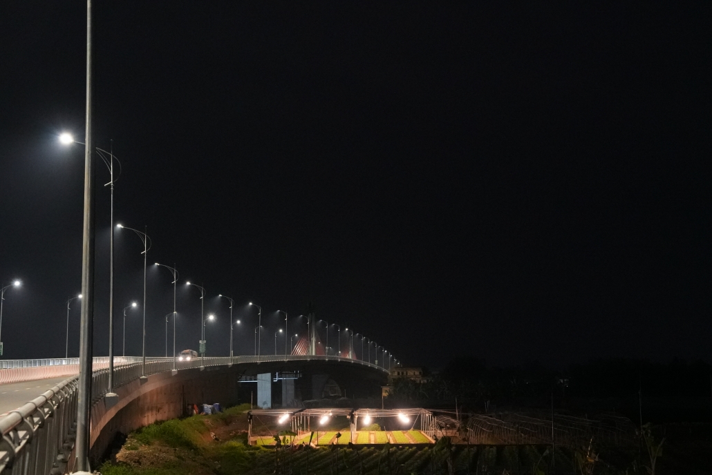 [Photo] Thái Nguyên: Làng hoa, làng rau tất bật vào vụ Tết