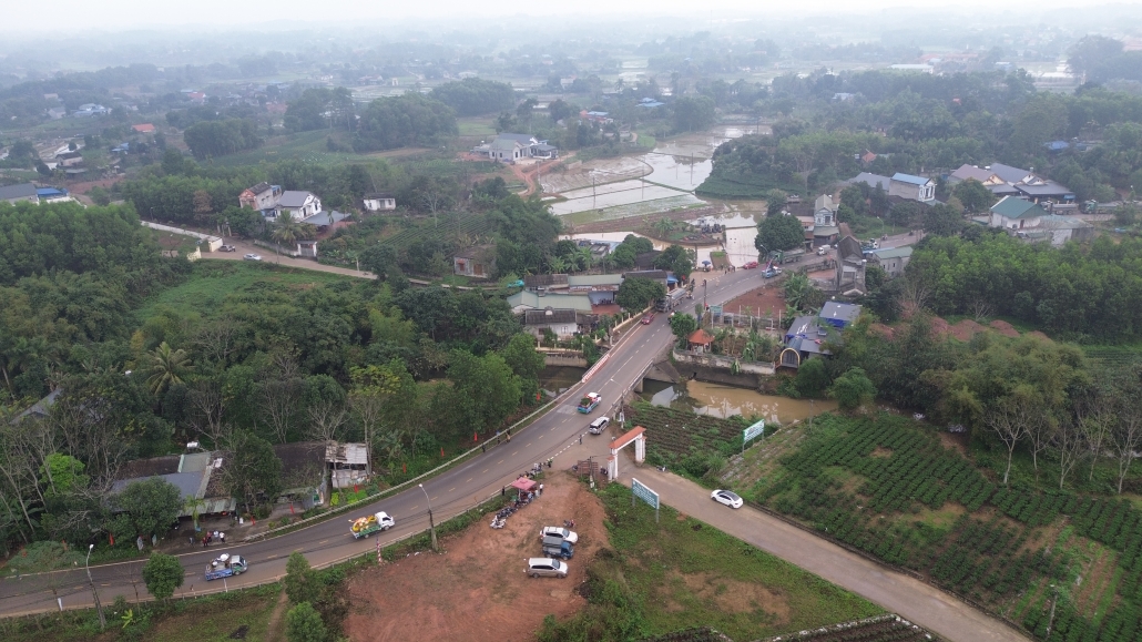 [Photo] Độc đáo Hội thi Rước cây chè đẹp