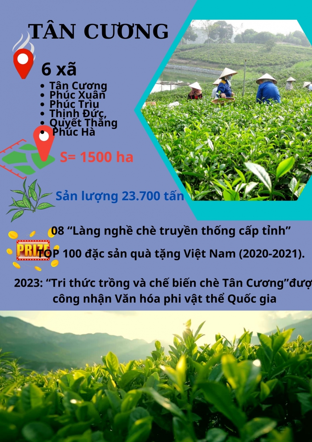 [MEGASTORY] HƯƠNG SẮC TRÀ XUÂN - VÙNG CHÈ ĐẶC SẢN TÂN CƯƠNG