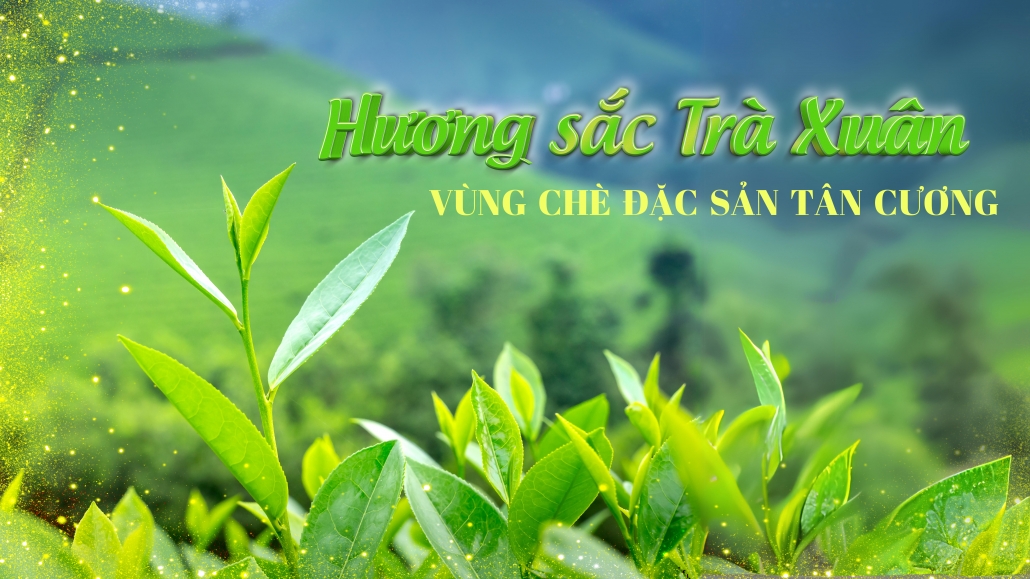 [MEGASTORY] HƯƠNG SẮC TRÀ XUÂN - VÙNG CHÈ ĐẶC SẢN TÂN CƯƠNG