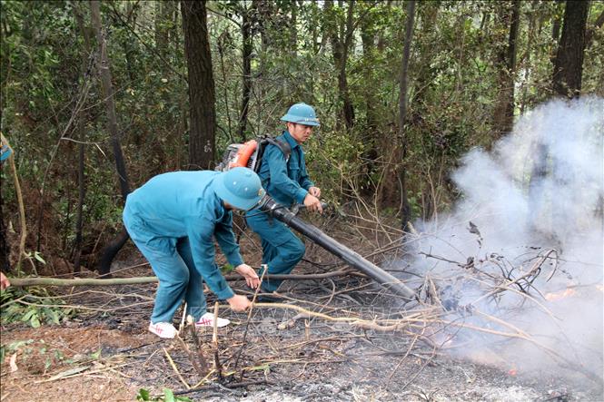 Thủ tướng yêu cầu triển khai quyết liệt các biện pháp phòng cháy, chữa cháy rừng