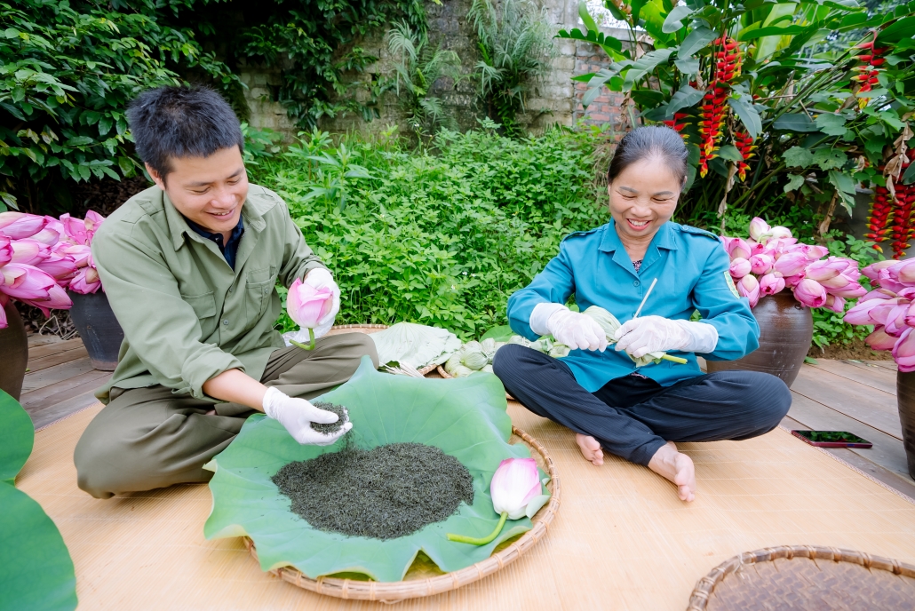 [Photo] Mùa sen về trên vùng đất đệ nhất danh Trà