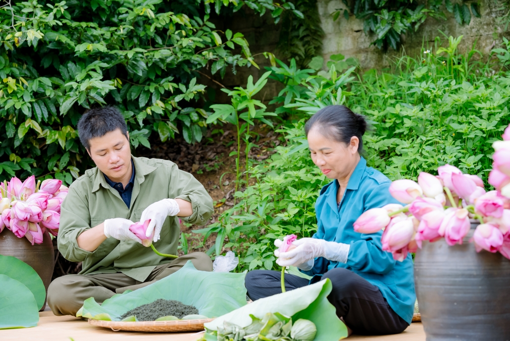 [Photo] Mùa sen về trên vùng đất đệ nhất danh Trà