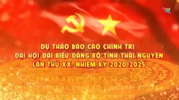 du thao bao cao chinh tri dai hoi dai bieu dang bo tinh thai nguyen lan thu xx nhiem ky 2020 2025