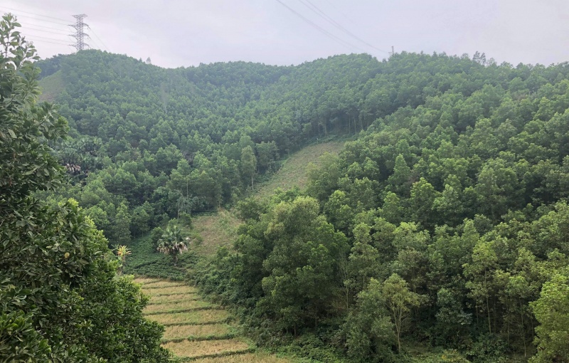 tang cuong cong tac quan ly bao ve rung tao sinh ke cho nguoi trong rung