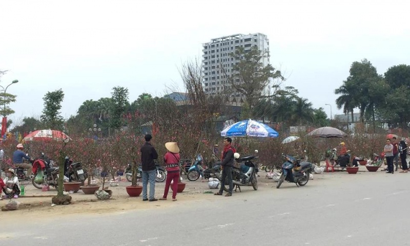 tp thai nguyen nhon nhip cho hoa cay canh ngay tet