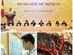 Chỉ đạo, điều hành của Chính phủ, Thủ tướng Chính phủ nổi bật tuần từ 13-17/2