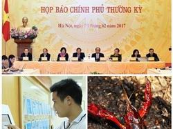 Chỉ đạo, điều hành của Chính phủ, Thủ tướng Chính phủ nổi bật tuần từ 13-17/2