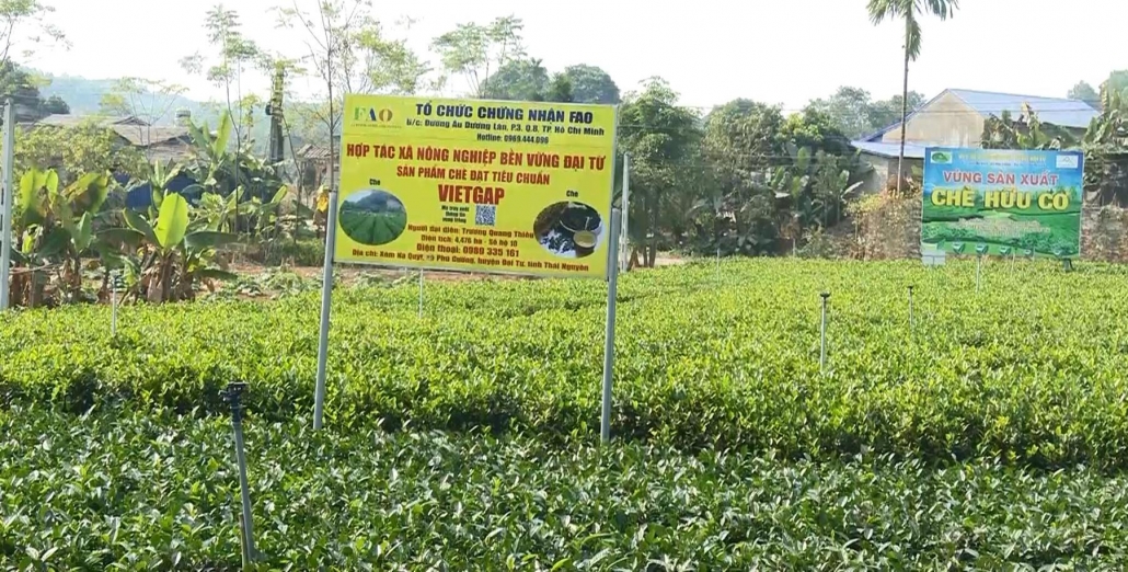 Thay đổi tư duy sản xuất truyền thống Thay đổi tư duy sản xuất truyền thống