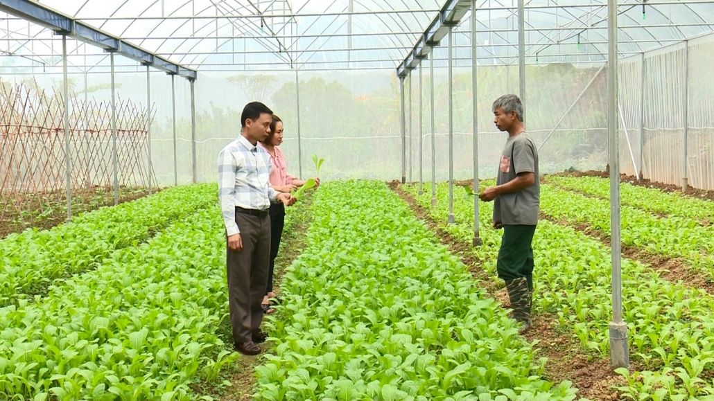 Triển vọng mô hình sản xuất nông nghiệp ở Võ Nhai Triển vọng mô hình sản xuất nông nghiệp ở Võ Nhai