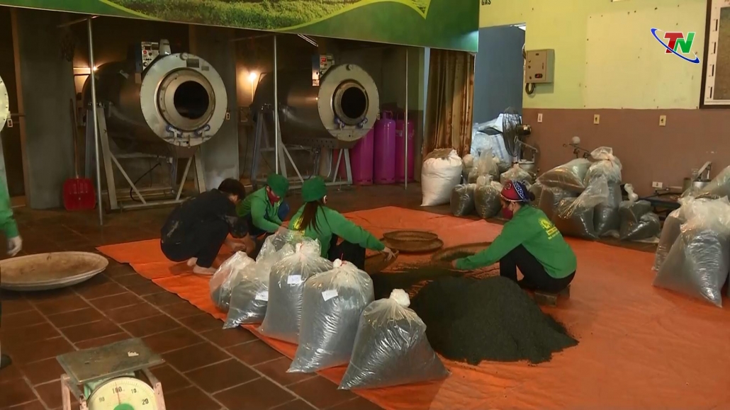 Chủ động nắm bắt cơ hội trong xuất khẩu chè Chủ động nắm bắt cơ hội trong xuất khẩu chè