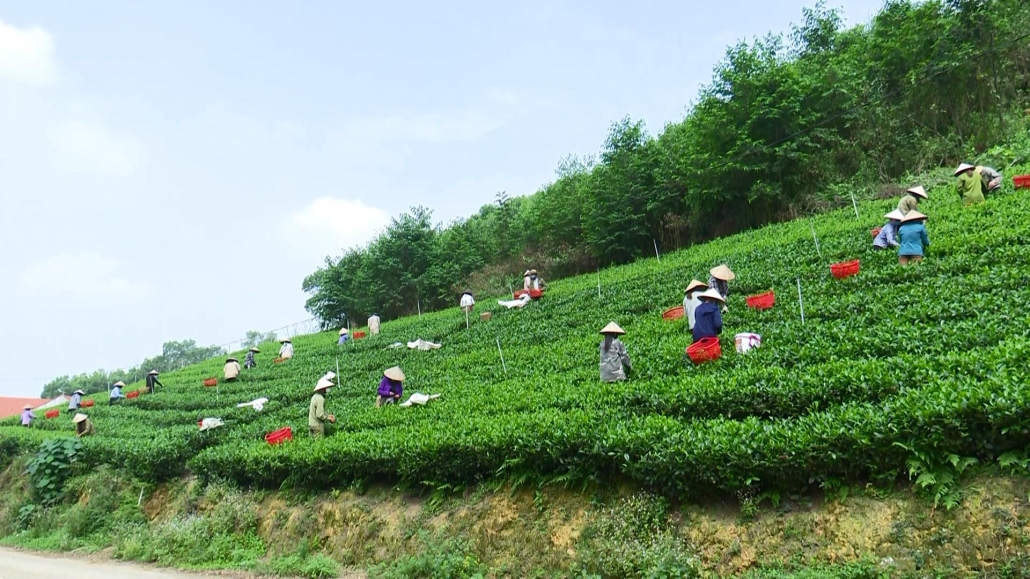 Văn Hán – Xây dựng Nông thôn mới không có đích cuối Văn Hán – Xây dựng Nông thôn mới không có đích cuối