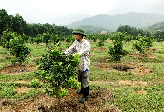 tap trung dieu chinh quy hoach