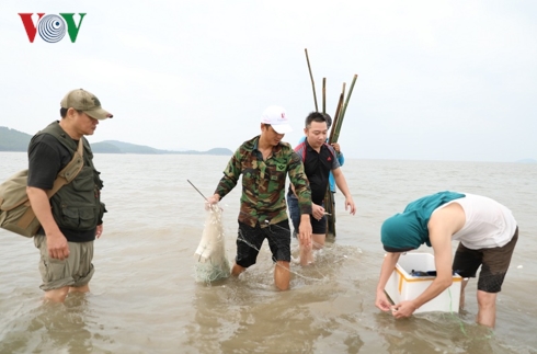 trai nghiem tour du lich cong dong tai quan lan quang ninh