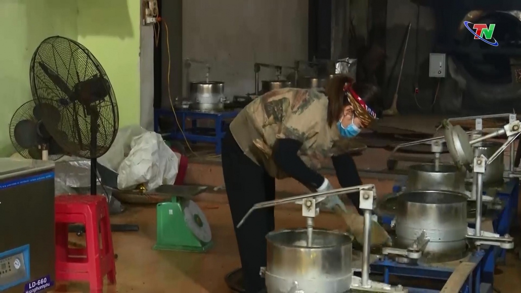 Thái Nguyên: Hướng tới sản xuất chè hữu cơ theo tiêu chuẩn Việt Nam Thái Nguyên: Hướng tới sản xuất chè hữu cơ theo tiêu chuẩn Việt Nam