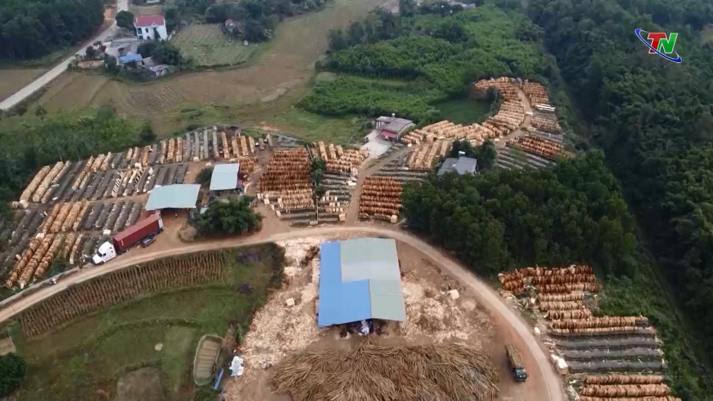 Đẩy nhanh quy hoạch vùng sản xuất nông nghiệp Đẩy nhanh quy hoạch vùng sản xuất nông nghiệp