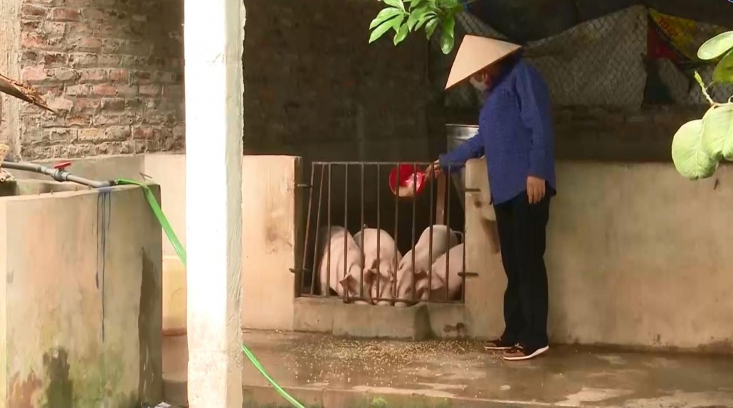 Người chăn nuôi tiếp tục gặp khó khăn - đã psts 22.4