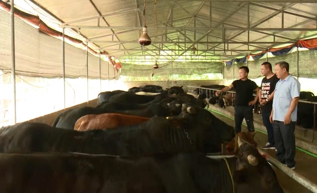 Tận dụng thức ăn thừa thành thức ăn chăn nuôi Tận dụng thức ăn thừa thành thức ăn chăn nuôi