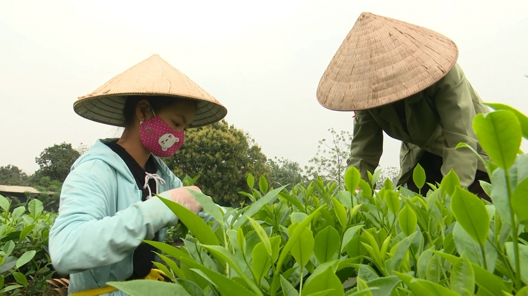 Sản xuất nông nghiệp trong cơn “bão giá”