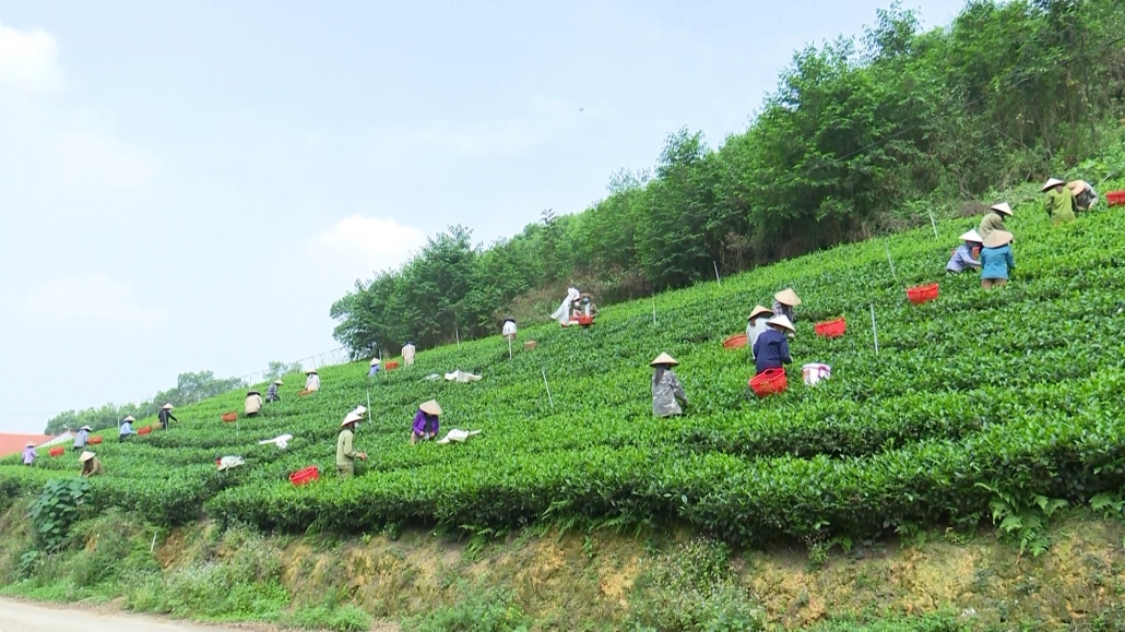 Văn Hán: Nâng cao đời sống người dân thông qua xây dựng nông thôn mới Văn Hán: Nâng cao đời sống người dân thông qua xây dựng nông thôn mới