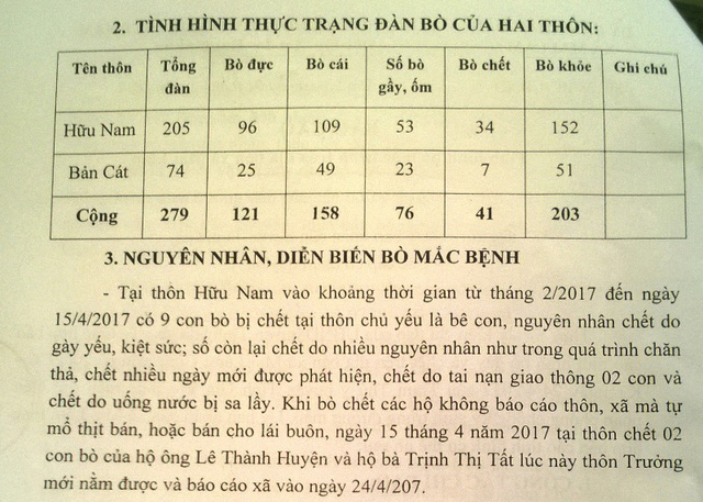 hang chuc con bo chet chua ro nguyen nhan