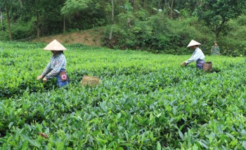 Khó khăn trong thực hiện tiêu chí giảm nghèo ở Võ Nhai