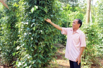 Có “điểm tựa” vốn quỹ, nhà nông mở rộng vườn - ao - chuồng