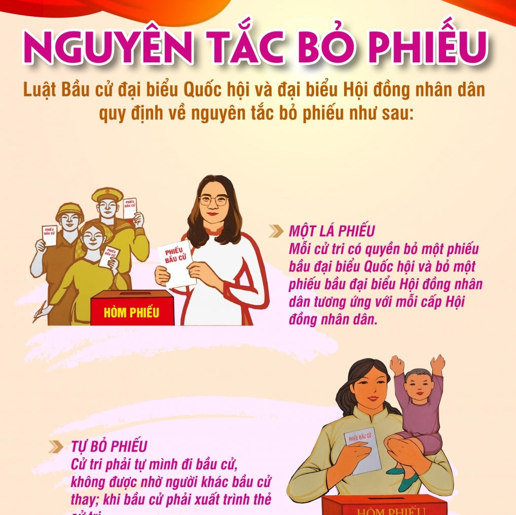 [Infographic]: Nguyên tắc thực hiện bỏ phiếu bầu đại biểu Quốc hội, HĐND các cấp