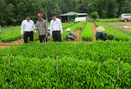 quang ngai nong dan doi doi nho von agribank