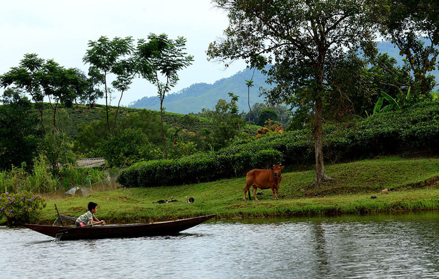 check in doi che dep nhu tranh ve