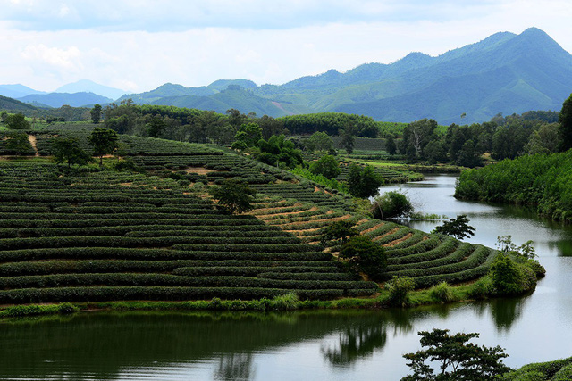 check in doi che dep nhu tranh ve