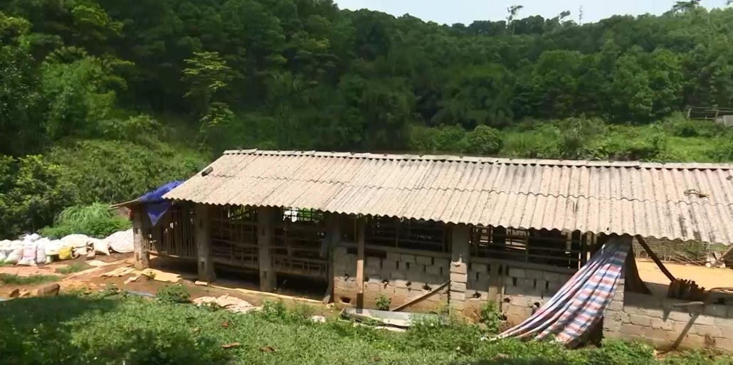 Trồng rừng gắn với kinh tế trang trại cho hiệu quả kinh tế cao - đã ps cm bảo vệ rừng 23.6