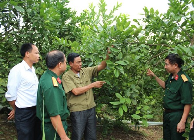 Giúp thương binh, bệnh binh vượt lên thương tật, làm giàu