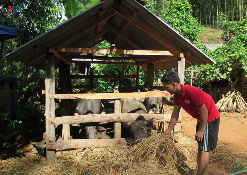 nam 2020 ca nuoc khong con ho ngheo thuoc doi tuong chinh sach