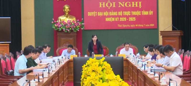 duyet dai hoi cac dang bo truc thuoc tinh uy nhiem ky 2020 2025 da ps